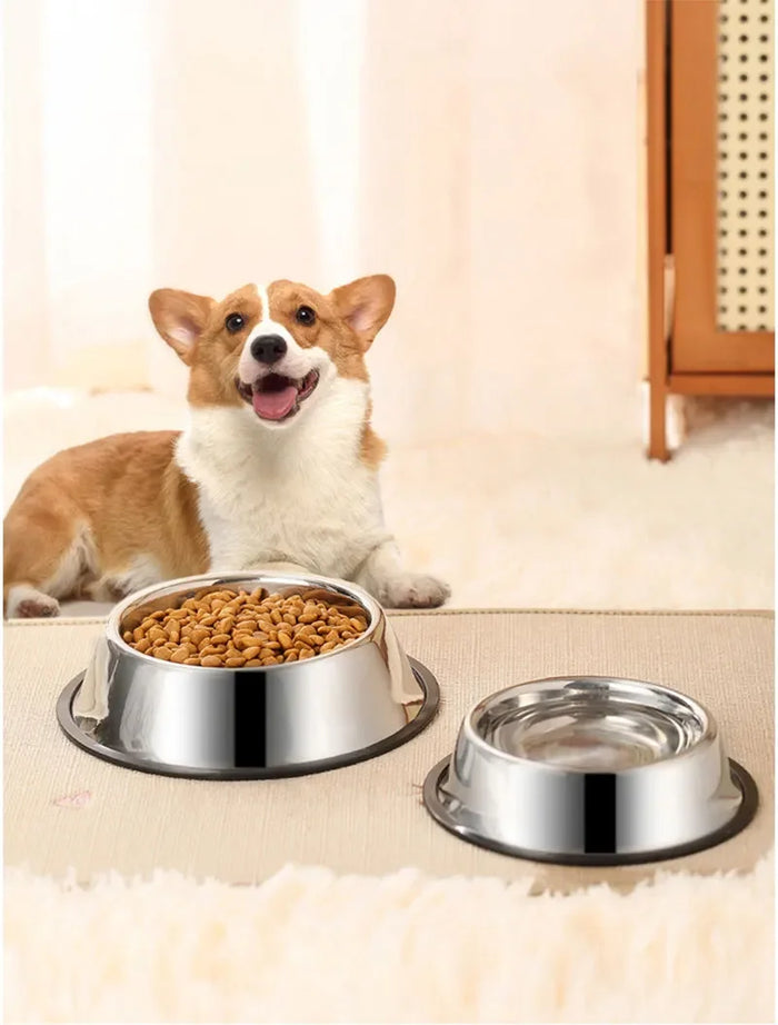 Cachorro corgi feliz ao lado de potes inox para ração e água em ambiente doméstico